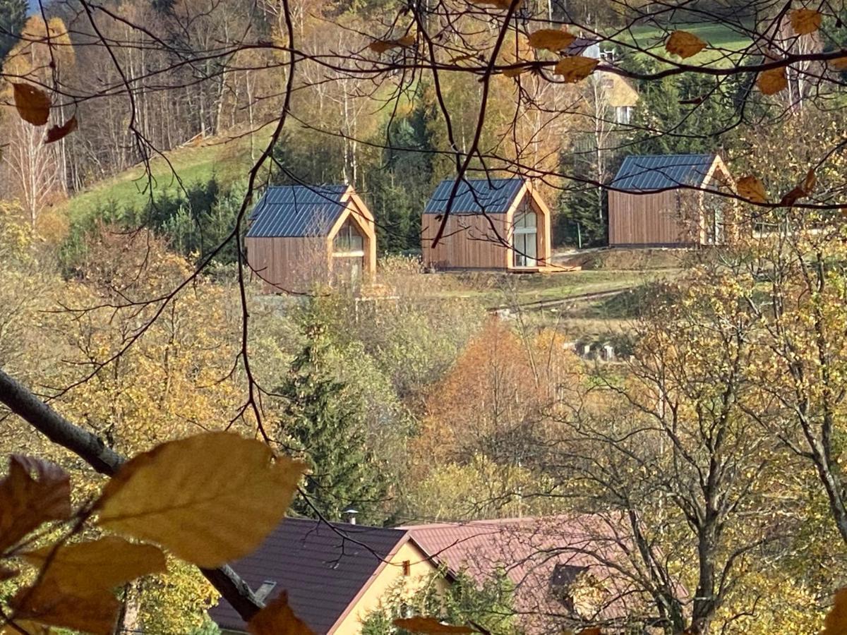 Domki Pod Lasem - Domek Sosnowy Stronie Śląskie Extérieur photo