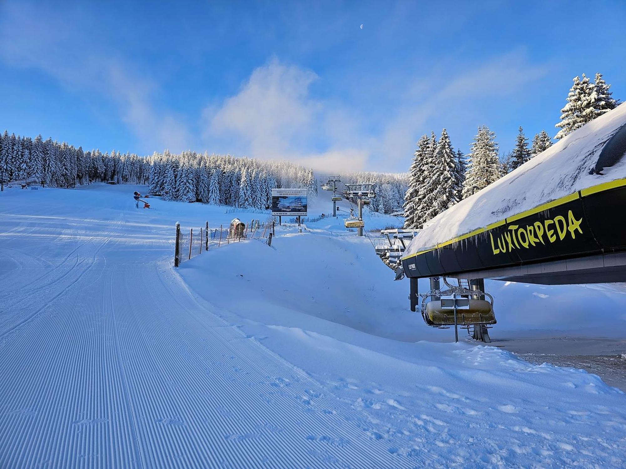 Domki Pod Lasem - Domek Sosnowy Stronie Śląskie Extérieur photo