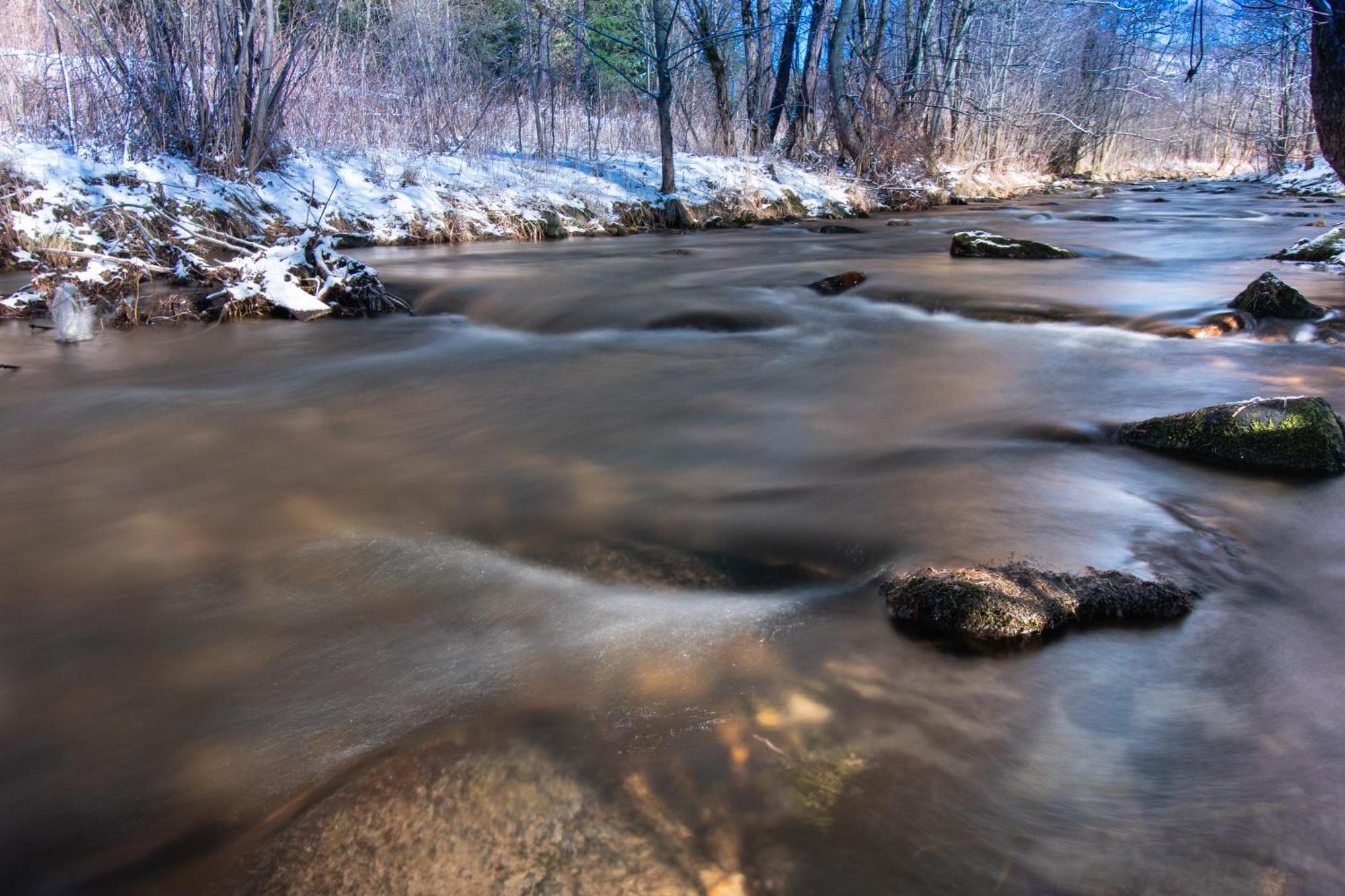 Domki Pod Lasem - Domek Sosnowy Stronie Śląskie Extérieur photo