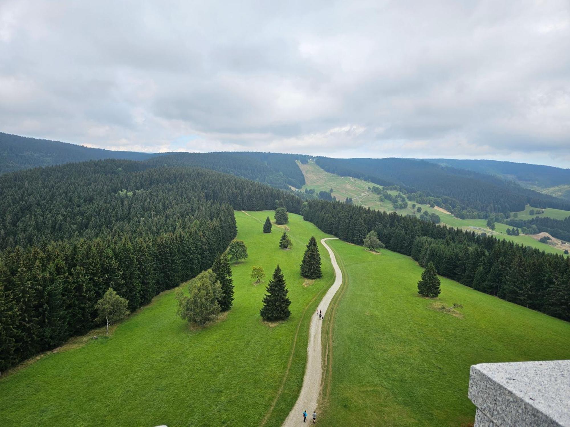 Domki Pod Lasem - Domek Sosnowy Stronie Śląskie Extérieur photo